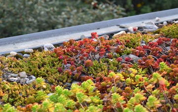 the cost of Bedwellty green roof installation