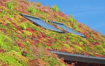 Bedwellty living roof systems