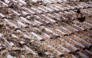 Bedwellty roof cleaning companies