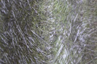 Bedwellty fibreglass roof work